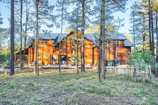 2790 Pine Rim Rd, Overgaard, AZ 85933 - Photo 33