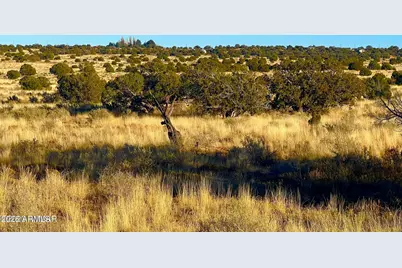9747 Willis Hill Trl 40 Acres -- #-, Snowflake, AZ 85937 - Photo 5
