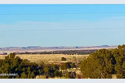 9747 Willis Hill Trl 40 Acres -- #-, Snowflake, AZ 85937 - Photo 9