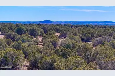 9023 Appaloosa Trl (Lot A) 5 Acres -- #-, Show Low, AZ 85901 - Photo 3