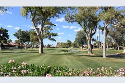 26226 S Flame Tree Drive, Sun Lakes, AZ 85248 - Photo 43