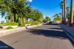 24412 S Berrybrook Dr, Sun Lakes, AZ 85248 - Photo 53