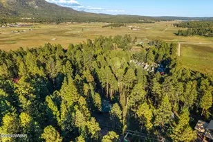 8 Cr 2065 --, Alpine, AZ 85920 - Photo 25