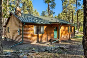 8 Cr 2065 --, Alpine, AZ 85920 - Photo 29