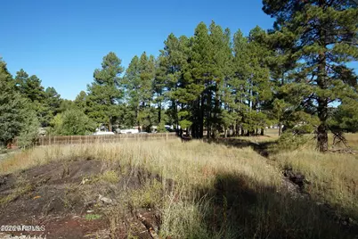 3484 N Shoshone Street #75, Flagstaff, AZ 86005 - Photo 3