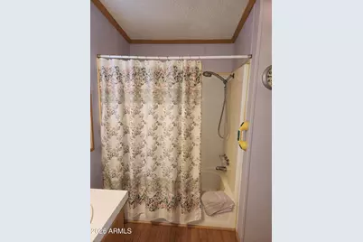 807 E Pennsylvania Avenue, Florence, AZ 85132 - Photo 97