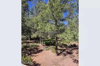 3638 N Whispering Pine Road, Pine, AZ 85544 - Photo 29