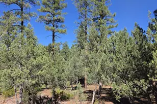 3638 N Whispering Pine Rd, Pine, AZ 85544 - Photo 31