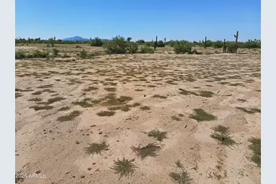 Tbd E Cactus Forest Road #Lots 1-4, Florence, AZ 85132 - Photo 5