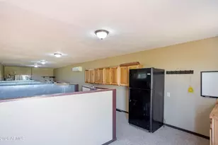 4333 W Dillman Rd, Elfrida, AZ 85610 - Photo 49