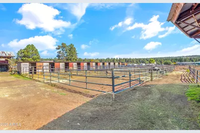 4848 Lake Mary Road, Flagstaff, AZ 86005 - Photo 15