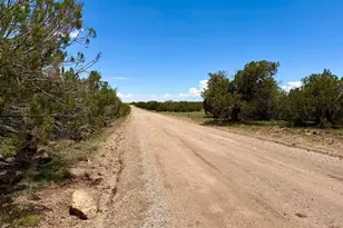 129 Co Rd 8051 --, Concho, AZ 85924 - Photo 1