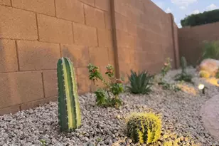 1337 E Stirrup Ln, San Tan Valley, AZ 85143 - Photo 79