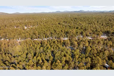 2627 N Douglas Fir Drive, Pinetop, AZ 85935 - Photo 31