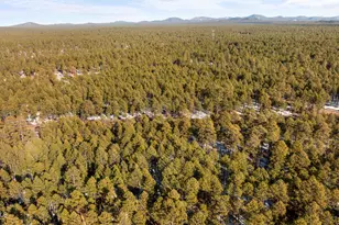 2627 N Douglas Fir Dr, Pinetop, AZ 85935 - Photo 31