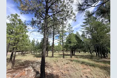 5206 Starlight Drive #166, Happy Jack, AZ 86024 - Photo 5