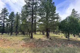 5206 Starlight Dr, Happy Jack, AZ 86024 - Photo 1