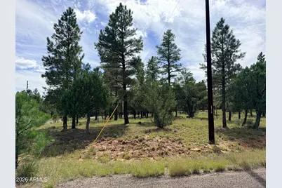 5206 Starlight Drive #166, Happy Jack, AZ 86024 - Photo 7