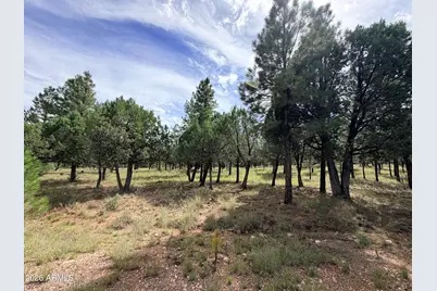 5206 Starlight Drive #166, Happy Jack, AZ 86024 - Photo 3