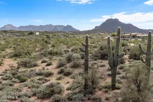 11441 E Oberlin Way, Scottsdale, AZ 85262 - Photo 13