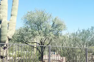 41526 N Clear Crossing Rd, Anthem, AZ 85086 - Photo 21