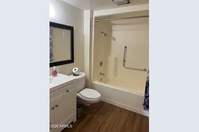 9221 W Briarwood Circle N, Sun City, AZ 85351 - Photo 17