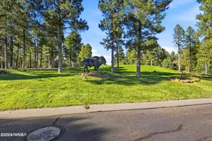 2741 W Villa Loop, Show Low, AZ 85901 - Photo 73