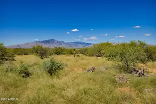 2498 W Columbine Ln, Benson, AZ 85602 - Photo 35