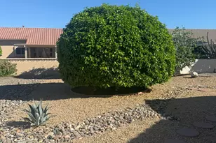 14518 W Heritage Dr, Sun City West, AZ 85375 - Photo 25