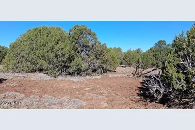 8991 Tomahawk Trail #-, Show Low, AZ 85901 - Photo 5