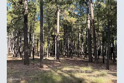 2661 Vacation Drive #549, Forest Lakes, AZ 85931 - Photo 3