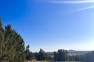 14 Acr 8249 --, Concho, AZ 85924 - Photo 1