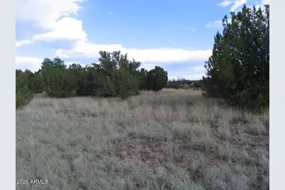 1955 Cliffside Place #122, Show Low, AZ 85901 - Photo 3