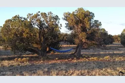 Tbd N5549 -- #180, Concho, AZ 85924 - Photo 21