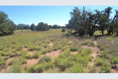 Tbd N5549 -- #180, Concho, AZ 85924 - Photo 3