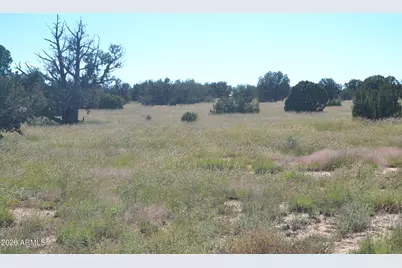 Tbd N5549 -- #180, Concho, AZ 85924 - Photo 9