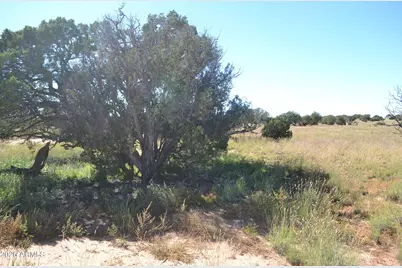 Tbd N5549 -- #180, Concho, AZ 85924 - Photo 5
