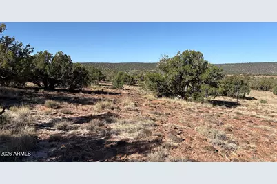 16 County Rd N8483 -- #-, Concho, AZ 85924 - Photo 11