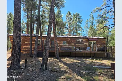 2373 Pine Valley Road, Happy Jack, AZ 86024 - Photo 3