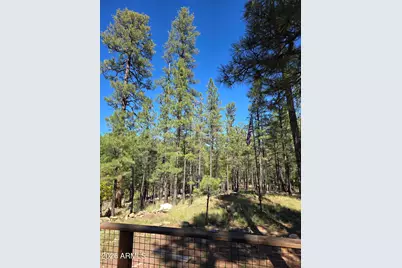 2373 Pine Valley Road, Happy Jack, AZ 86024 - Photo 5