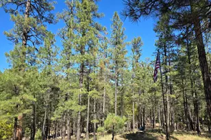 2373 Pine Valley Rd, Happy Jack, AZ 86024 - Photo 5