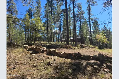 2373 Pine Valley Road, Happy Jack, AZ 86024 - Photo 23