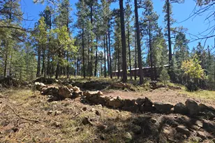 2373 Pine Valley Rd, Happy Jack, AZ 86024 - Photo 23