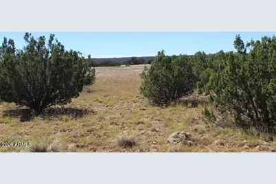 Sec 11 T14N, R16E, Nw4 Se4 Ne4 -- #201-41-024C, Heber, AZ 85928 - Photo 3