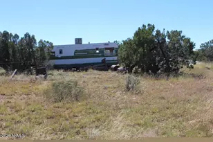 Sec 11 T14N R16E Nw4 Se4 Ne4 --, Heber, AZ 85928 - Photo 1