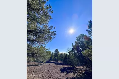 10 County Rd 3030 -- #-, Show Low, AZ 85901 - Photo 7