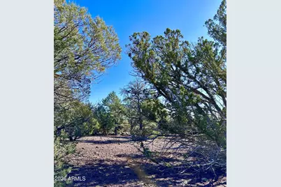 10 County Rd 3030 -- #-, Show Low, AZ 85901 - Photo 9