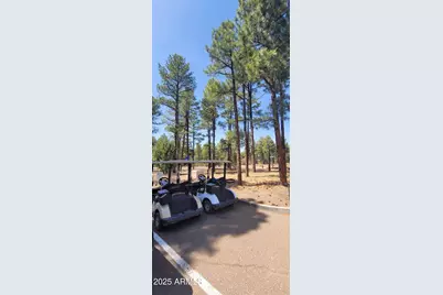 4760 W Bison Lane, Show Low, AZ 85901 - Photo 81