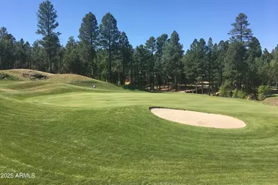4760 W Bison Lane, Show Low, AZ 85901 - Photo 5