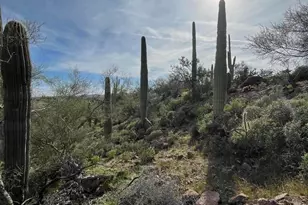 0 E Angel Basin Rd, Queen Valley, AZ 85118 - Photo 5